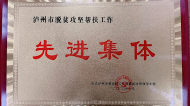 瀘州市脫貧攻堅幫扶工作先進(jìn)集體